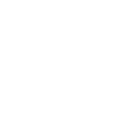 rielleinternational.com